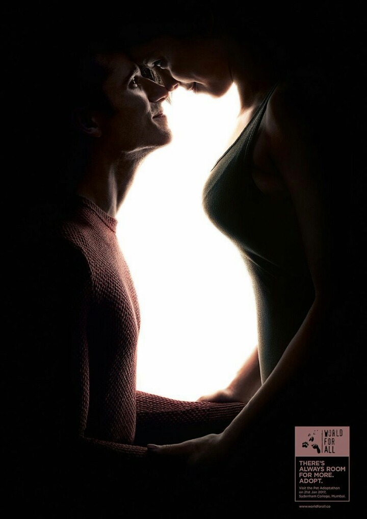 신박한 반려동물 입양광고 | 인스티즈