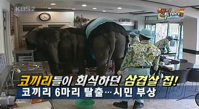 이상우 해피투게더 레전드 ㅋㅋㅋ | 인스티즈