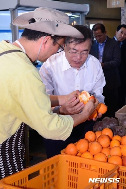 [문재인대통령] 대통령님과 함께 제주감귤 구분해보기.jpg | 인스티즈