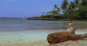 [러브렉트] 최애와 무인도에 갇혔다고 좋아했는데 무인도가 아니었음ㅋㅋㅋㅋㅋㅋㅋ | 인스티즈