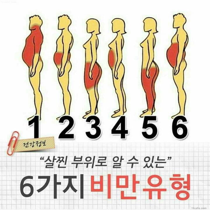 살이 찌는 부위 별 이유 | 인스티즈