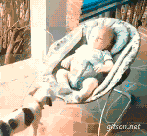 작정하고 귀엽고 사랑스러운 아기와 강아지 모음(심장녹아내림주의) | 인스티즈