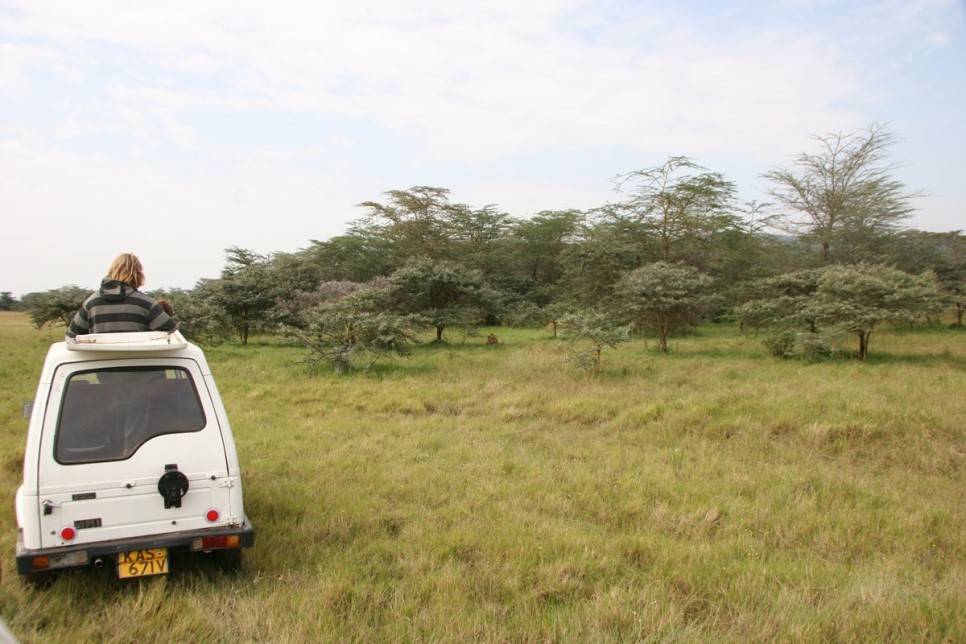 유럽여행보다 더 비싸다는 아프리카 여행 | 인스티즈