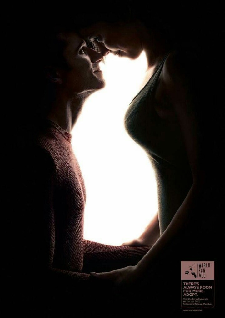 외국 반려동물 입양 포스터.jpg | 인스티즈