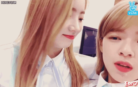 오늘자 커플미 낭낭한 트와이스 다현이랑 정연이.gif | 인스티즈