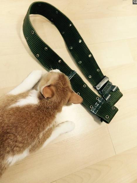 집으로 돌아가는 예비군.jpg + 후기 | 인스티즈