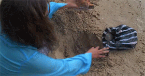 [러브렉트] 최애와 무인도에 갇혔다고 좋아했는데 무인도가 아니었음ㅋㅋㅋㅋㅋㅋㅋ | 인스티즈