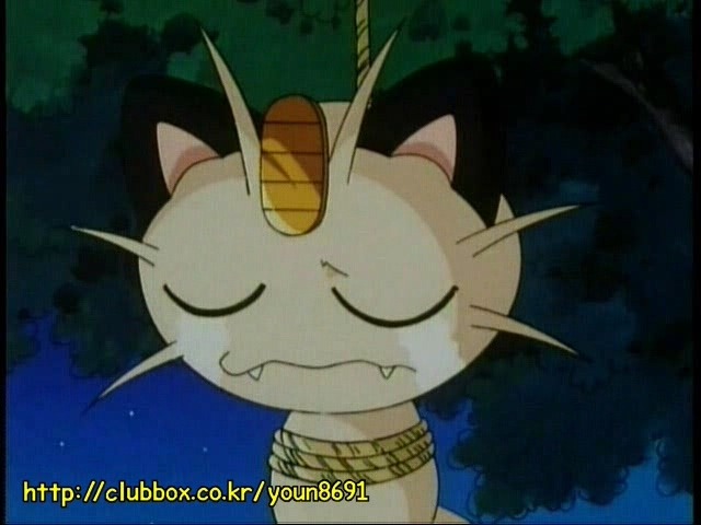 [포켓몬] 나옹이의 가나다라마바사 | 인스티즈