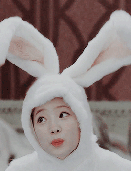 트와이스 애완동물 토끼 다현.gif | 인스티즈