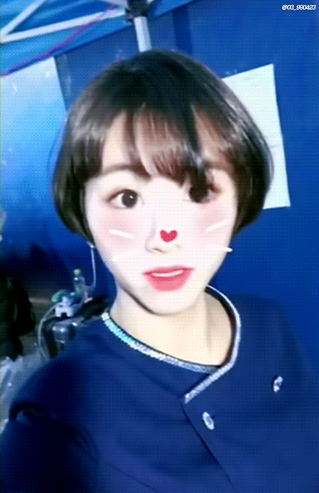 [2017] 월별 채영이 | 인스티즈