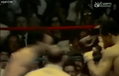 복싱계 인자강 | 인스티즈