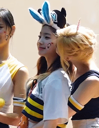 두부를 사랑하는 시바견.gif | 인스티즈