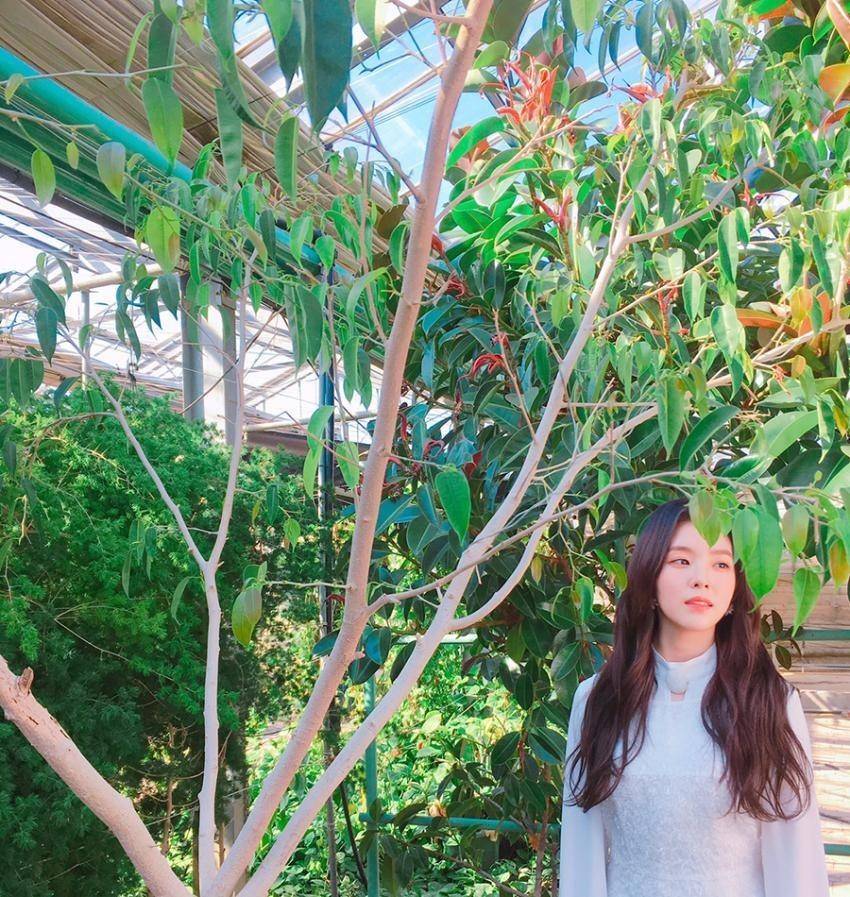 레드벨벳 아이린.jpgif | 인스티즈