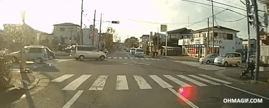 할머니가 무사히 횡단보도 건너는지 확인하는 냥이.gif | 인스티즈