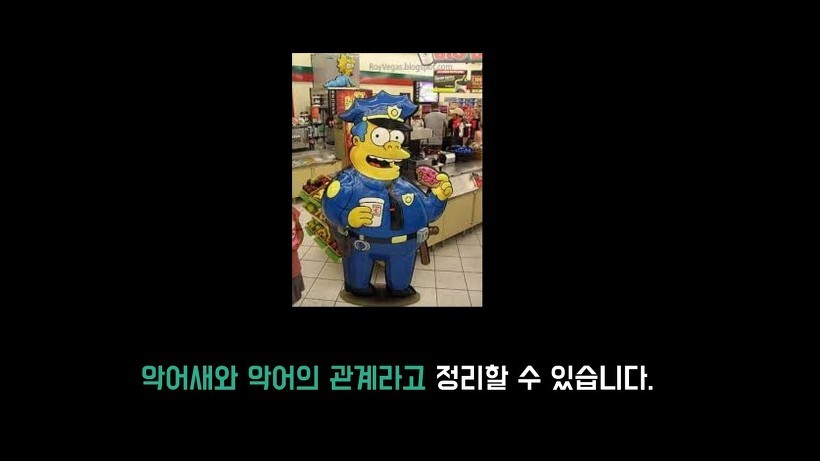 미국 경찰들이 도넛을 많이 먹는 이유.jpg | 인스티즈