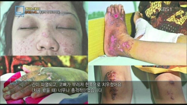 대륙의 가사도우미 | 인스티즈