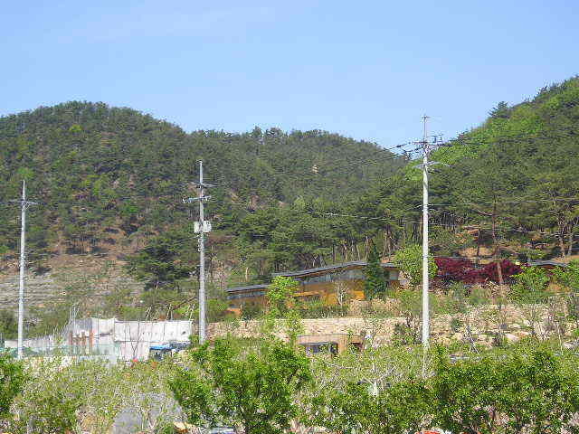 2012년도에 쓰인 노무현전대통령님 타살의혹글 (꼭읽어봐주세요) | 인스티즈