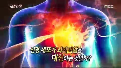 뇌의 미스테리 | 인스티즈