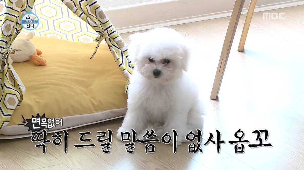 나혼자산다 윤현민편 꼬봉이 캡처(feat.올블랙) | 인스티즈