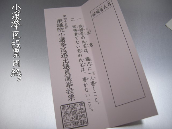 철자 틀리면 무효라는 일본 투표용지 | 인스티즈