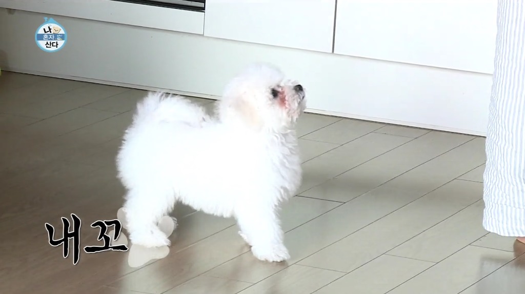 나혼자산다 윤현민편 꼬봉이 캡처(feat.올블랙) | 인스티즈