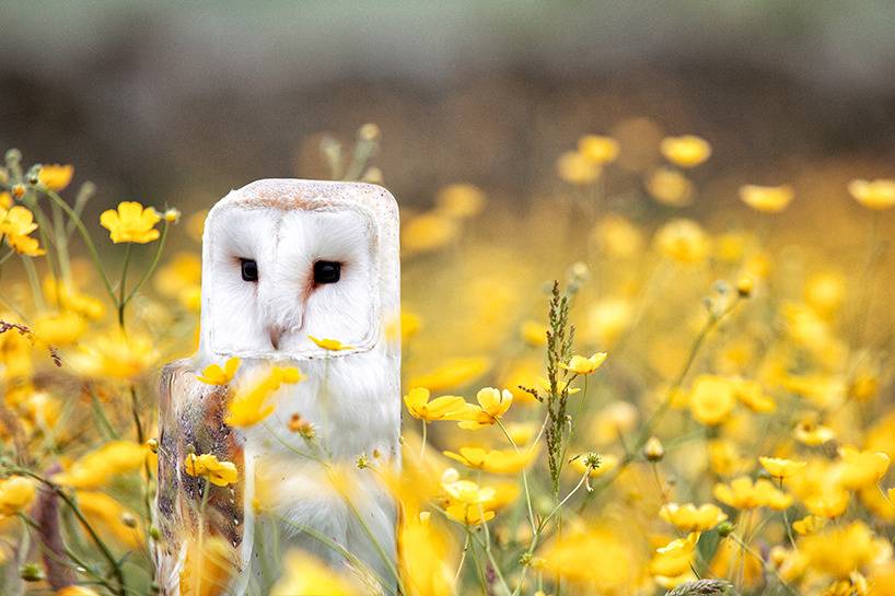 돔물믜 뫔국 | 인스티즈