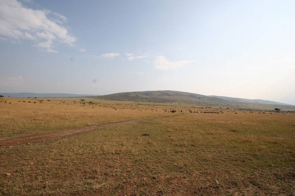 유럽여행보다 더 비싸다는 아프리카 여행 | 인스티즈