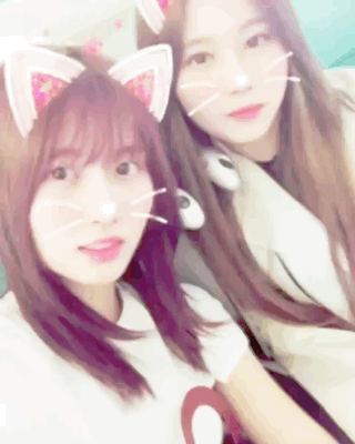 트와이스 사나X모모 움짤 몇 개 | 인스티즈