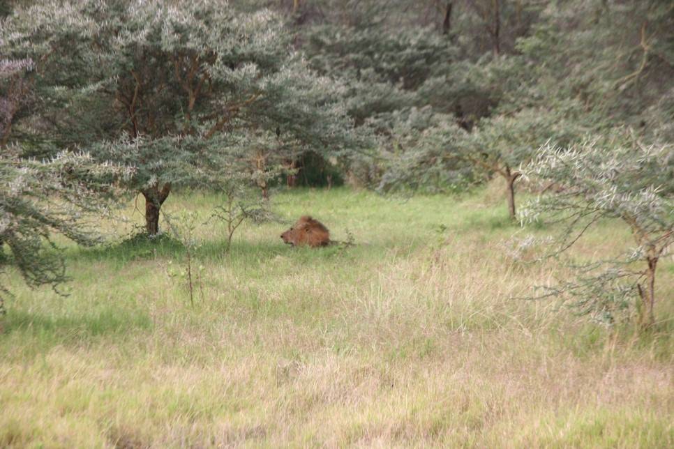 유럽여행보다 더 비싸다는 아프리카 여행 | 인스티즈
