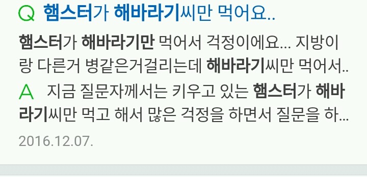 햄스터 키우는 사람공감 | 인스티즈