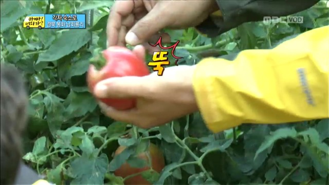 [아빠어디가] 유유상종의 표본이였던 성선비와 홍도인ㅋㅋㅋㅋㅋ.jpg | 인스티즈