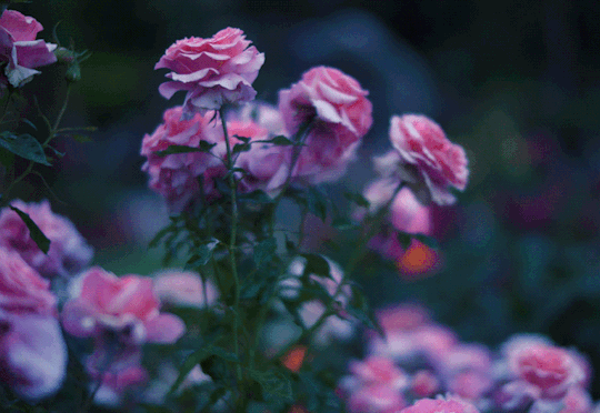 상대방의 본성을 아는 법 | 인스티즈