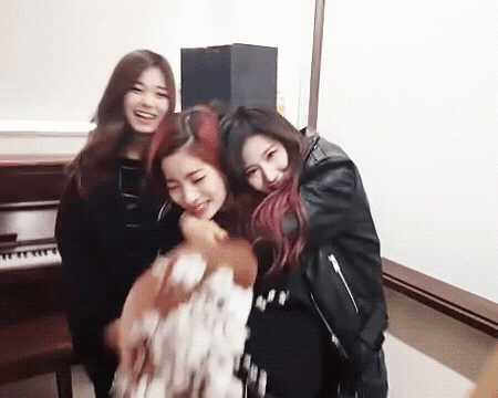 두부를 사랑하는 시바견.gif | 인스티즈