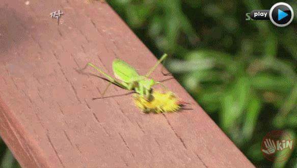 남자의 흔한 허세.jpg | 인스티즈