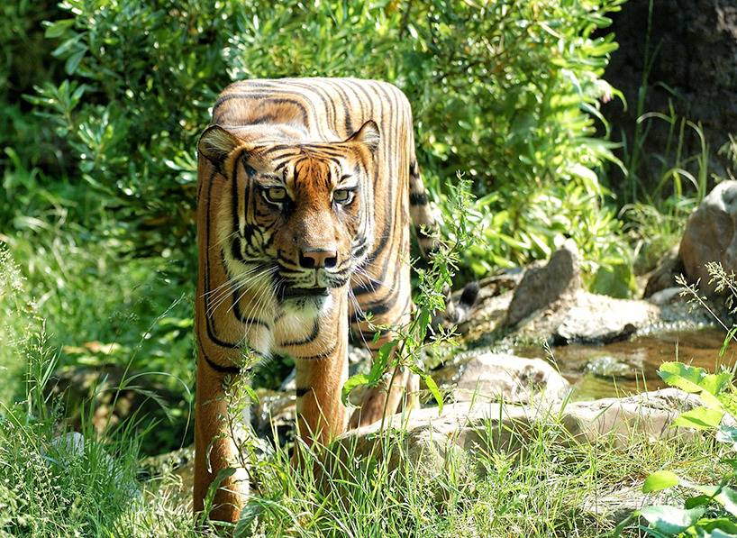 돔물믜 뫔국 | 인스티즈