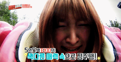 쫄보 하니.gif | 인스티즈