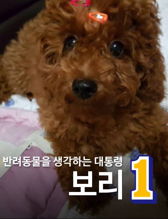 기호1번 포스터 만들어보기 | 인스티즈