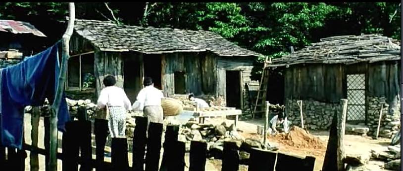 자기집 철거하러온 철거반원5명중 4명을 묻어버린 박흥숙사건 | 인스티즈