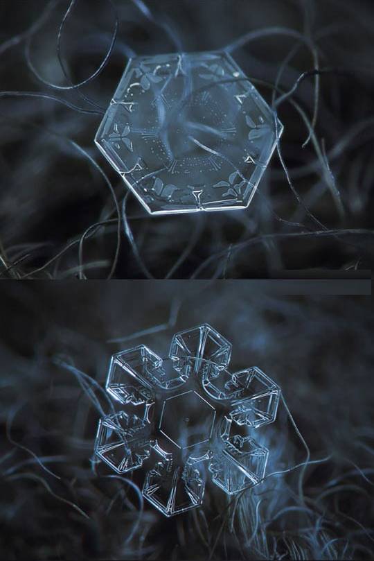 예쁜 눈 결정체 | 인스티즈