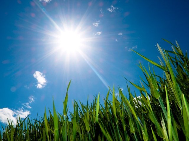 여름에 제일 싫은것 "더위vs습도vs벌레" | 인스티즈