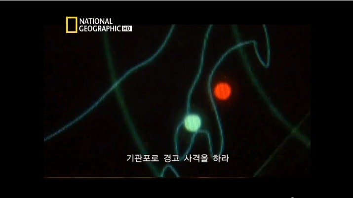 대한항공 007기의 비극 2편 | 인스티즈