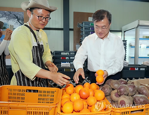 [문재인대통령] 대통령님과 함께 제주감귤 구분해보기.jpg | 인스티즈
