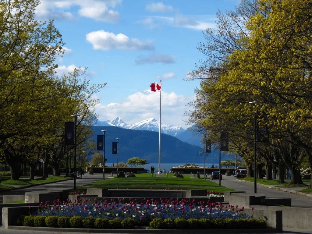 캐나다 대학 캠퍼스 수준 | 인스티즈