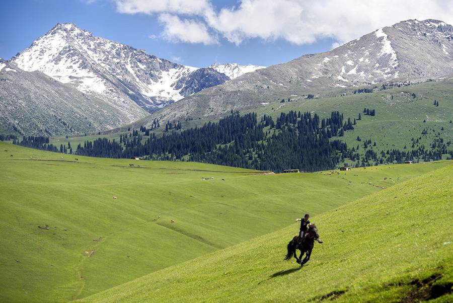 신장 위구르 자치구... | 인스티즈