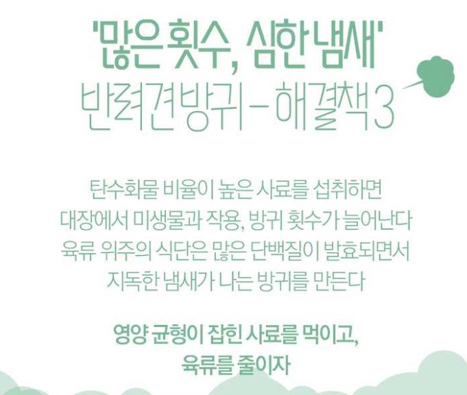 [아무짤대잔치] ¡투표한기념¡ ♧막♧올려봅니다 $데이터₩없으면₩들어오지마셈$ 필요하면 가져가셍 | 인스티즈