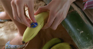 [러브렉트] 최애와 무인도에 갇혔다고 좋아했는데 무인도가 아니었음ㅋㅋㅋㅋㅋㅋㅋ | 인스티즈