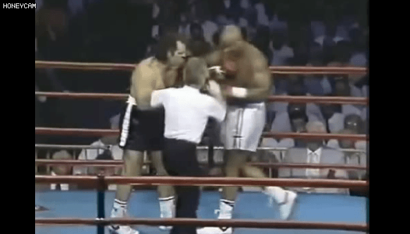 복싱계 인자강 | 인스티즈