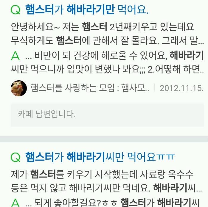 햄스터 키우는 사람공감 | 인스티즈