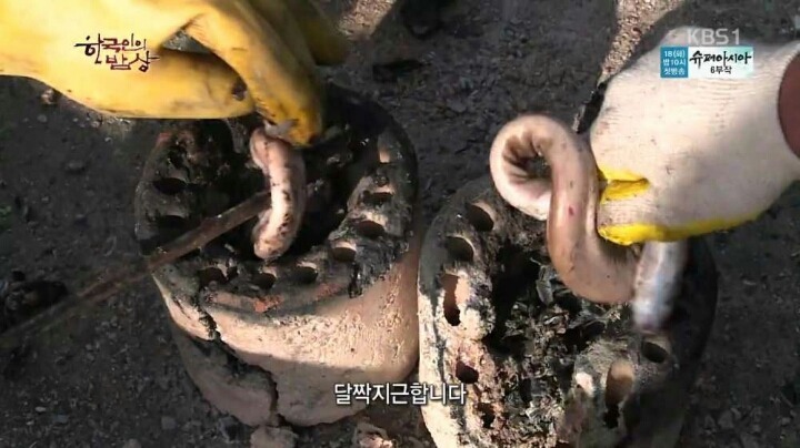 한국인의밥상 꼼장어 | 인스티즈