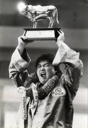 천하장사 시절 강호동 | 인스티즈